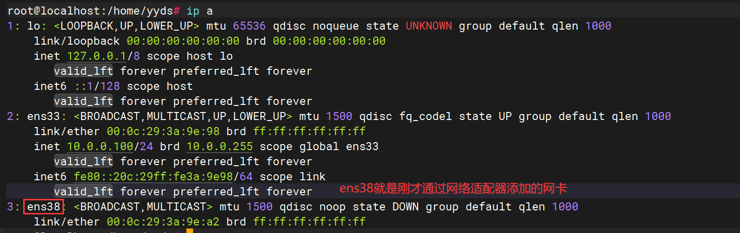 image-20240519142408666