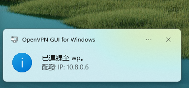 image-20240819173811131